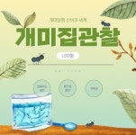 LED 개미 집 여왕 개미 키우기 농장 사육세트 만들기 : 동호몰즈