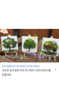 천연이끼 이젤 액자 : 마음톡씨앗