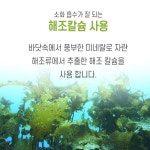 뼈건강엔 칼슘 마그네슘 비타민D 아연 120정 성장기 어린이 뼈형성 : dante38