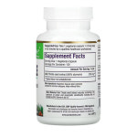 파라다이스 허브 밀크씨슬 120정 : 오빌의금