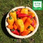 유기농 친환경 미니파프리카 3색 파프리카 3kg : 다농농장