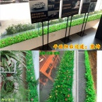 인조 잔디 뗏장 시공 보호 매트 시뮬레이션 파티션 녹색 식물 꽃 냄비 점포 인터넷 카페 : 더카이씬