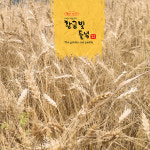 [황금빛들녘] 우리밀 통밀가루 3kg : 무일농산