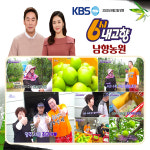 6시내고향 방영 농가 영주 아오리 사과 5kg : 남향농원