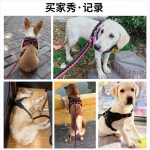 대형견 목줄 진돗개 리드줄 산책줄 조끼 로프 중소형 코기 방식 물통 조절 가능한 가슴 끈 : 더카이씬