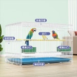 앵무새 장 케이지 집 특별 대형 화실 야외 찌르레기 아구창 수 놓은 눈 종달새 금속 새 : 더카이씬