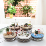 다육 테라리움 만들기 DIY 세트 키트 재료 : 비오스샵