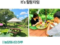 (연이랑체험) 농장에서의 하루 : 연이랑 수련연꽃 치유농장