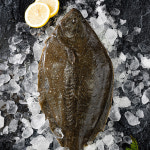 광어회 숙성 활어회 대광어 막회 지느러미 홈마카세 150g : 쵱선생