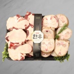 1++ 지리산 구례 명품 투뿔 한우 선물세트 꽃등심 안심 채끝 부채 치마 국거리 : 파인밀