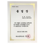 상장양식 금박 로얄 초등 중 고등 대 학교 수료 졸업 표창 증 서 상 장 용지 100매 : 세연몰