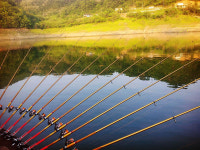 민물 장어낚시대 끝판왕 킹스네이크 2 원투낚시대 : 남한강낚시