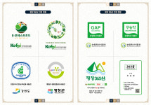 무농약 8년근 평창 산양삼 소 크기 15뿌리 선물 세트 산양산삼 장뇌삼 : 365삼