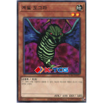 게일도그라 (SD41-KR021) Normal 한글판 유희왕 : K-TCG