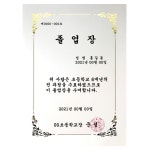상장양식 금박 넝쿨 초등 중 고등 대 학교 수료 졸업 표창 증 서 상 장 용지 100매 : 세연몰