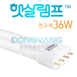 햇살램프 FPL 55W 전구색 LT-55W EX-L : 케이블메이크
