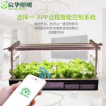 채소재배기 수경재배키트 가정용식물재배기 가정용스마트팜 베란다텃밭 실내 기계 지능형 무토 : 2 행복나무가있는집