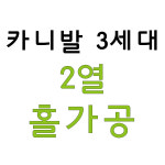 [천안/아산] 올뉴카니발, 더뉴카니발 2열 홀가공 시공상품 : 다이데이