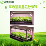 채소재배기 수경재배키트 가정용식물재배기 가정용스마트팜 베란다텃밭 실내 기계 지능형 무토 : 2 행복나무가있는집