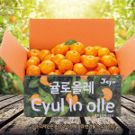 귤로올레 제주직송 25년 새콤달콤 햇하우스 감귤 : 올탑농원