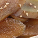 해미래 우엉조림 1kg : 마트대통령