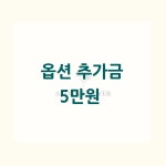 옵션 추가금(5만원) : 아도라 플라워
