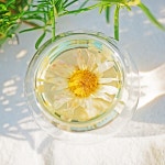 농부가 키운 유기농차 구절초차 8g : 꽃차하늘바라기