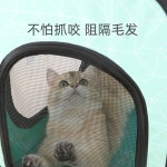 애완용 털 건조기 가정용 소형 고양이 개 목욕 말리기 : 금손마켓2.