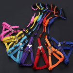 애구애구 강아지목줄 하네스 3종 : 애구애구