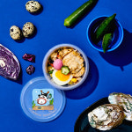 10종 세트(100g x 10ea, 소,돼지,닭,오리,연어,전복,삼치,토마토소고기,크림연어,시금치크림전복) / 강아지 화식 수제 사료 자연식 : 펫푸드판다