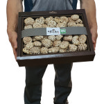 유기농 장흥 건 표고버섯 명절 선물세트 국산 마른 백화고 설날 추석 오가닉 부모님 선물 : 마니네농장