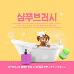 강아지용 샴푸브러쉬 딩동펫 : 몽코이스토어