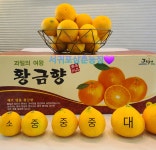 서귀포삼춘농장.청정 제주의 건강한 농산물.고당도 황금향 가정용10kg중과 : 서귀포삼춘농장