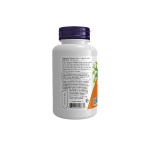 나우푸드 징코 빌로바 120mg 100정 : 로엔