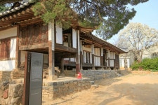 산지직송 무농약 친환경 설 명절 선물용 (특)상품 경성당 참송이버섯 : 경성당참송이농원