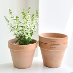 이태리토분 3개셋트 바소 기본형 거실 분갈이 화분 테라스 베란다꾸미기 : 케어보따리