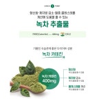 카테킨 초록이  체지방감소 도움8주분 : IT TEM