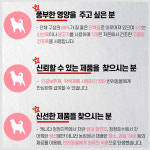 [덴티츄2p+월간통살2p] 오리젠 독 스몰브리드 1.8kg : 웰피드 펫