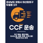 경상남도 창원시 마산합포구 두월동3가 당근, 용달 배송, 이사(소형, 원룸, 투룸, 오피스텔) -짐보관 창고 운영 : CCF운송