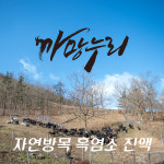 고농축 흑염소 진액 즙 120ml(30팩) 자연방목 흑염소 엑기스 산지 직배송 : 123몰