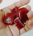 케이포닉스 냉짱 냉동장구벌레 800g (캡슐 8판) 열대어사료 생먹이 금붕어 디스커스 : 디스커스쁘아송