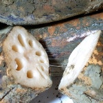 국산 무농약 햇연근 슬라이스 연근채 1kg 친환경 400g : 초록땅