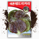 새론 레드 치커리씨앗 2000립 치커리씨 종자 : 씨앗팜