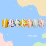 다다잡화점 멍카롱 냥카롱 강아지 고양이 분리불안 장난감 캣닢 공 이갈이 간식볼 : 다다잡화점.