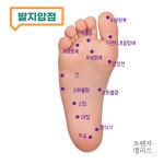 1+1+1 귀혈자리 귀지압패치 이혈테라피 이혈기석 붓기침 채령 귀침 : 오렌지 앨리스