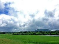 제주도 그린필드cc+라헨느 골프장 부킹조인 패키지/투어 조천읍골프장 동부함덕인근 : 편안하고즐거운 제주여행마트