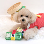 강아지장난감 새뱃돈 인형장난감 패리스독 럭키머니토이 : 코코마펫 애견편집샵