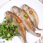 [영광산지직송] 프리미엄 법성포 영광 굴비 실속 추석선물세트 10미 : 청정장터