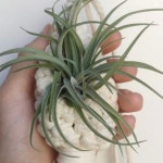 물방울 둥지 미니 식물 화분걸이 마크라메 핸드메이드 인테리어 장식 용품 : 퀴니하우스