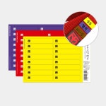 무토 태권도장 운영 프로그램 밴드 무지(10pcs) : 굿엔굿즈